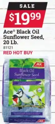Ace Hardware Ace black oil sunflower seed 20 lb offer
