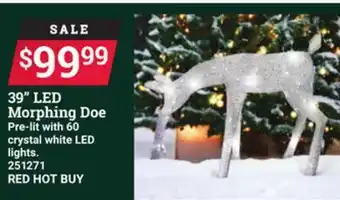 Ace Hardware 39 led morphing offer