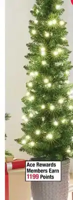 Ace Hardware 5' pencil led green alpine resin indoor/outdoor potted tree offer