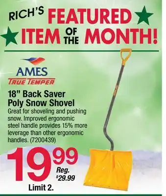 Ace Hardware 18 back saver poly snow shovel offer