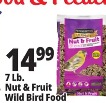 Ocean State Job Lot Pennington ultimate nut & fruit blend wild bird seed, 7 lbs offer