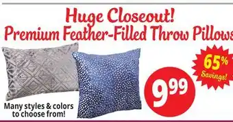 Ocean State Job Lot Premium feather-filled throw pillows offer