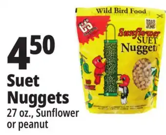 Ocean State Job Lot C&s sunflower suet nuggets, 27 oz offer