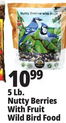 Ocean State Job Lot 5 lb. nutty berries with fruit wild bird food offer