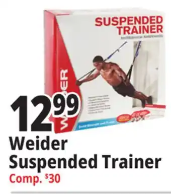 Ocean State Job Lot Weider suspended trainer offer