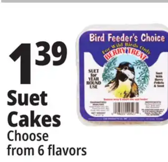 Ocean State Job Lot Bird feeder's choice high energy suet, 11 oz offer