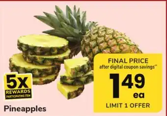 ACME Pineapples offer