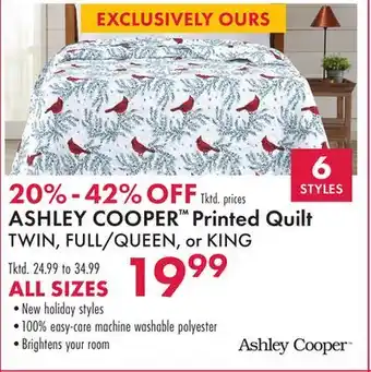 Boscov's Ashley cooper printed quilt offer