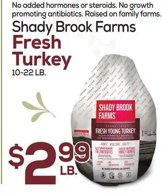 DeCicco & Sons Shady brook farms fresh turkey offer