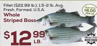 DeCicco & Sons Whole striped bass offer