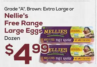 DeCicco & Sons Nellie's free range large eggs offer