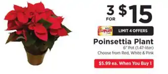 ShopRite Poinsettia plant offer