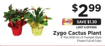 ShopRite Zygo cactus plant offer