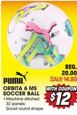 Big 5 Puma orbita 6 ms soccer ball offer