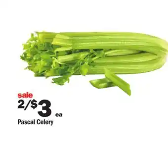 Meijer Pascal celery offer