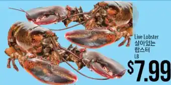 Hmart Live lobster offer