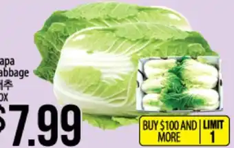 Hmart Napa cabbage offer