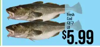 Hmart Fresh cod offer