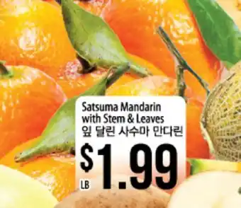 Hmart Satsuma mandarin with stem & leaves offer