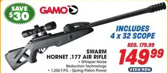 Big 5 Gamo swarm hornet .177 air rifle offer
