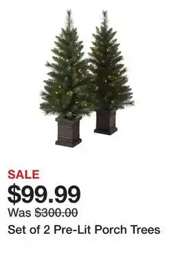 Belk Set of 2 pre-lit porch trees offer