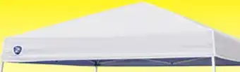 Big 5 Z-shade odyssey 10' x 10' slant leg instant canopy offer