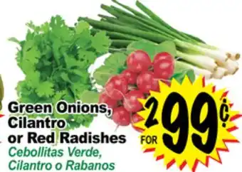 Superior Grocers Green onions, cilantro or red radishes offer