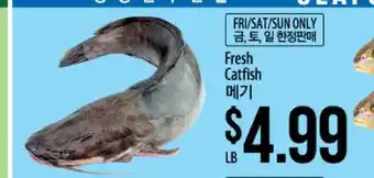 Hmart Fresh catfish offer