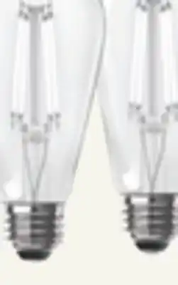 The Home Depot 2-pack led 60-watt replacement vintage-style bulb offer