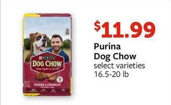 Fareway Purina Dog Chow offer