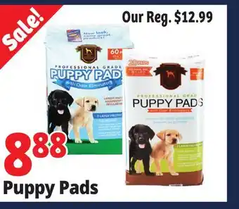 Ocean State Job Lot Puppy pads offer