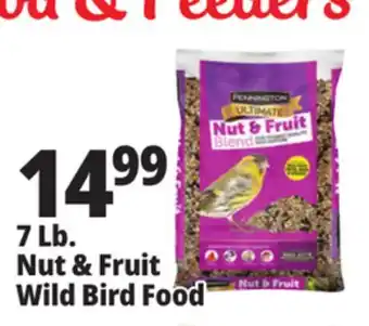 Ocean State Job Lot 7 lb. nut & fruit wild bird food offer