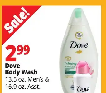 Ocean State Job Lot Dove body wash offer