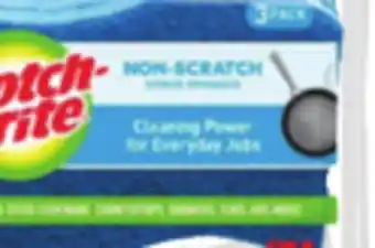 Ocean State Job Lot No scratch sponges offer