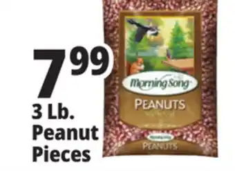 Ocean State Job Lot 3 lb. peanut pieces offer
