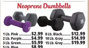 Ocean State Job Lot Neoprene hand weights offer