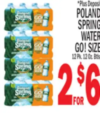 C Town Poland spring water go! size offer