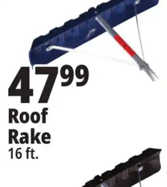 Ocean State Job Lot Roof rake offer