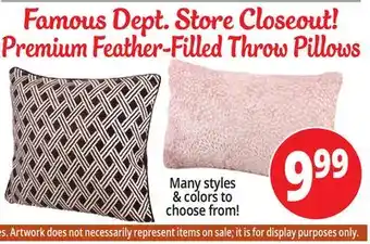 Ocean State Job Lot Premium feather-filled throw pillows offer
