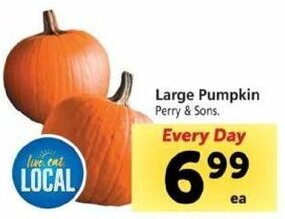 Safeway Large Pumpkins offer
