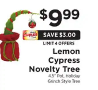 ShopRite Lemon cypress novelty tree offer