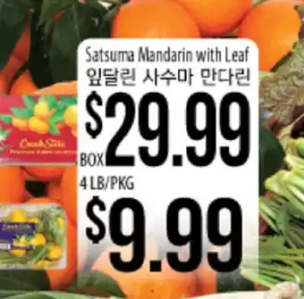 Hmart Satsuma mandarin with leaf offer