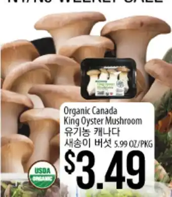 Hmart Organic canada king oyster mushroom offer