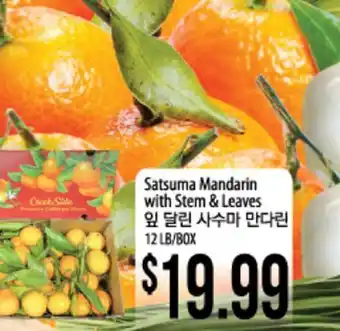 Hmart Satsuma mandarin with stem & leaves offer