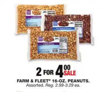 Blain's Farm & Fleet Farm & fleet 16-oz. peanuts offer