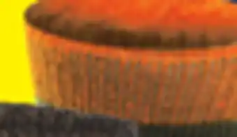 Big 5 Fireside ultra warm socks offer