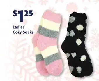 Family Dollar Ladies' cozy socks offer
