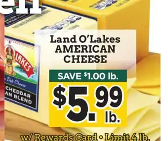 Dearborn Market Land o'lakes american cheese offer