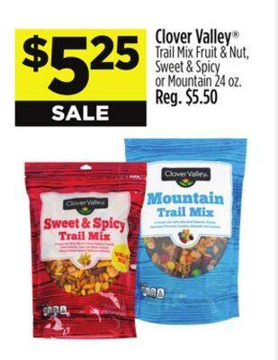 Dollar General Clover valley offer
