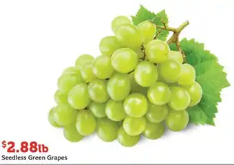 Fareway Seedless Green Grapes offer